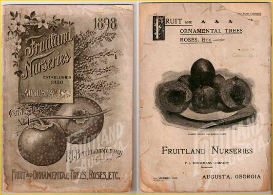 1898 Fruitland Nurseries Catalog by Berckmans & Company